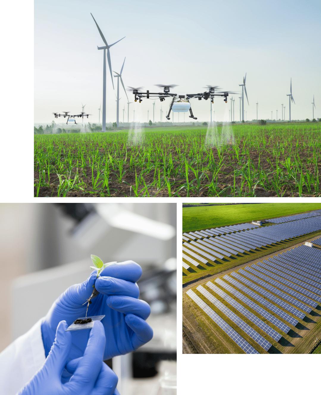 EGEN - ACCELERATE GREEN INNOVATION foto collage Green innovation
