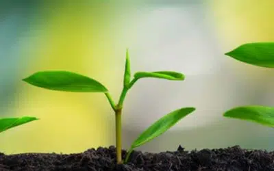 Planning to apply for a LIFE grant? Start on time!