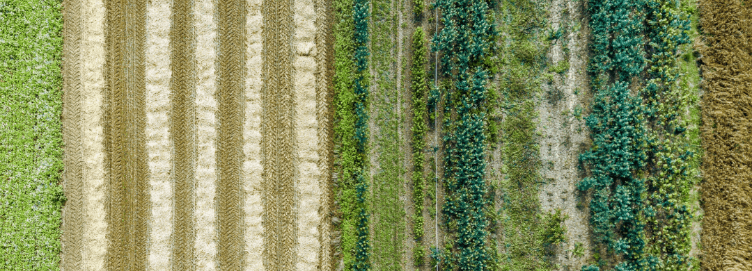 Circular Bio-based Europe Partnership launches new call