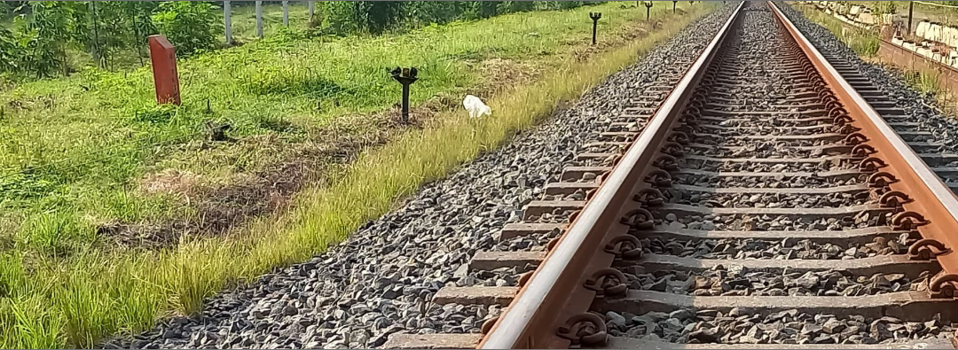 EGEN ondersteunt ProRail bij succesvolle LIFE-aanvraag voor natuurvriendelijke vegetatieverwijdering langs het spoor